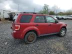 2011 Ford Escape Xlt zu verkaufen in Ebensburg, PA - Side