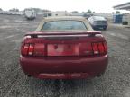 2003 Ford Mustang Gt zu verkaufen in Earlington, KY - Hail