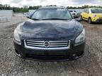 Louisville, KY에서 판매 중인 2012 Nissan Maxima S - Hail