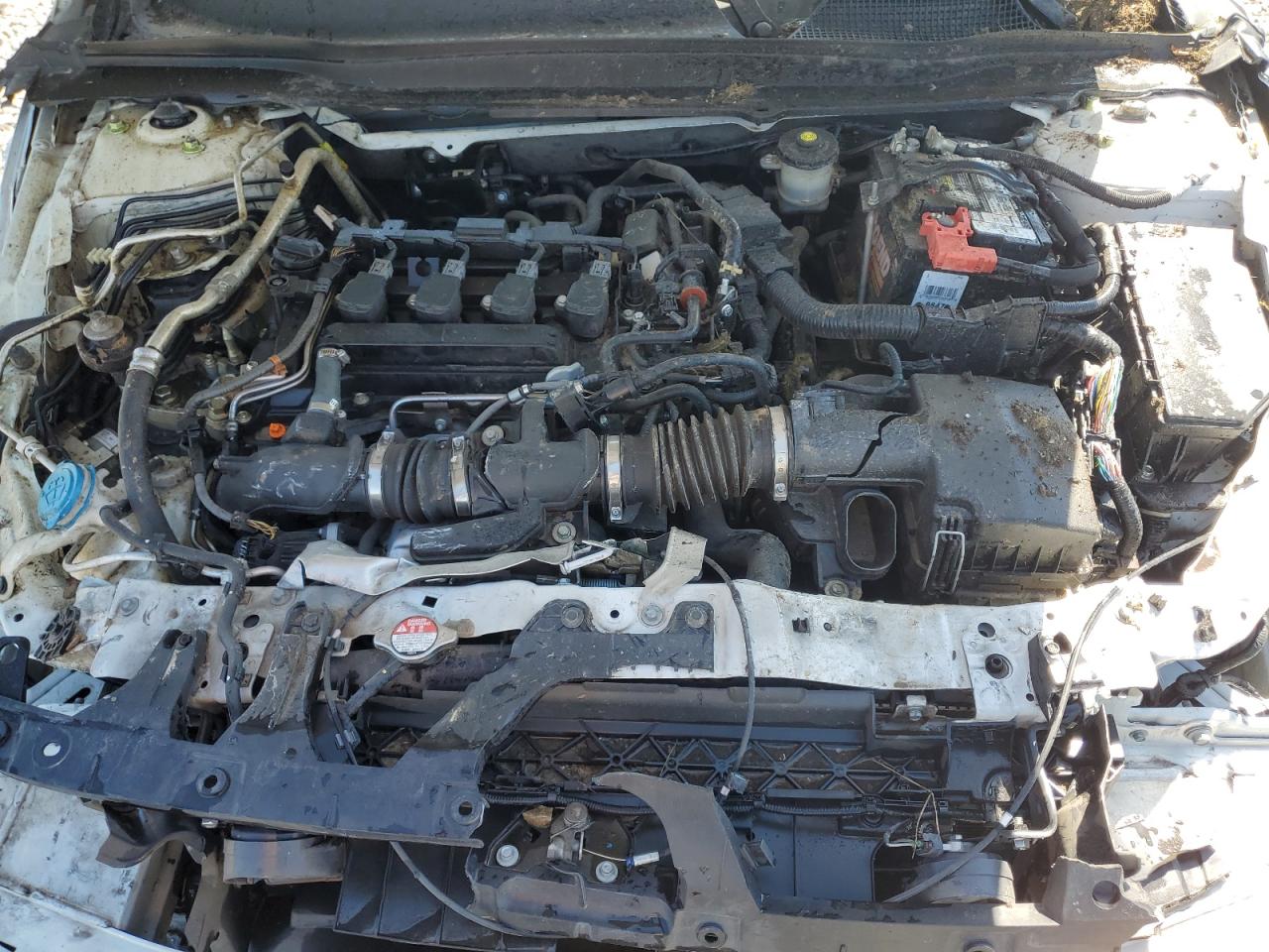 2021 Honda Accord Sport Se VIN: 1HGCV1F40MA031703 Lot: 57828335