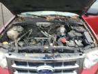 2011 Ford Escape Xlt იყიდება Des Moines-ში, IA - Rear End