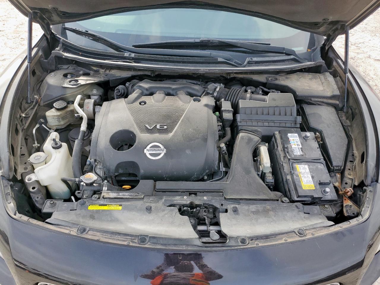 2010 Nissan Maxima S VIN: 1N4AA5AP9AC808623 Lot: 56411735