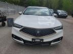 2019 ACURA TLX ADVANCE à vendre chez Copart ON - COOKSTOWN