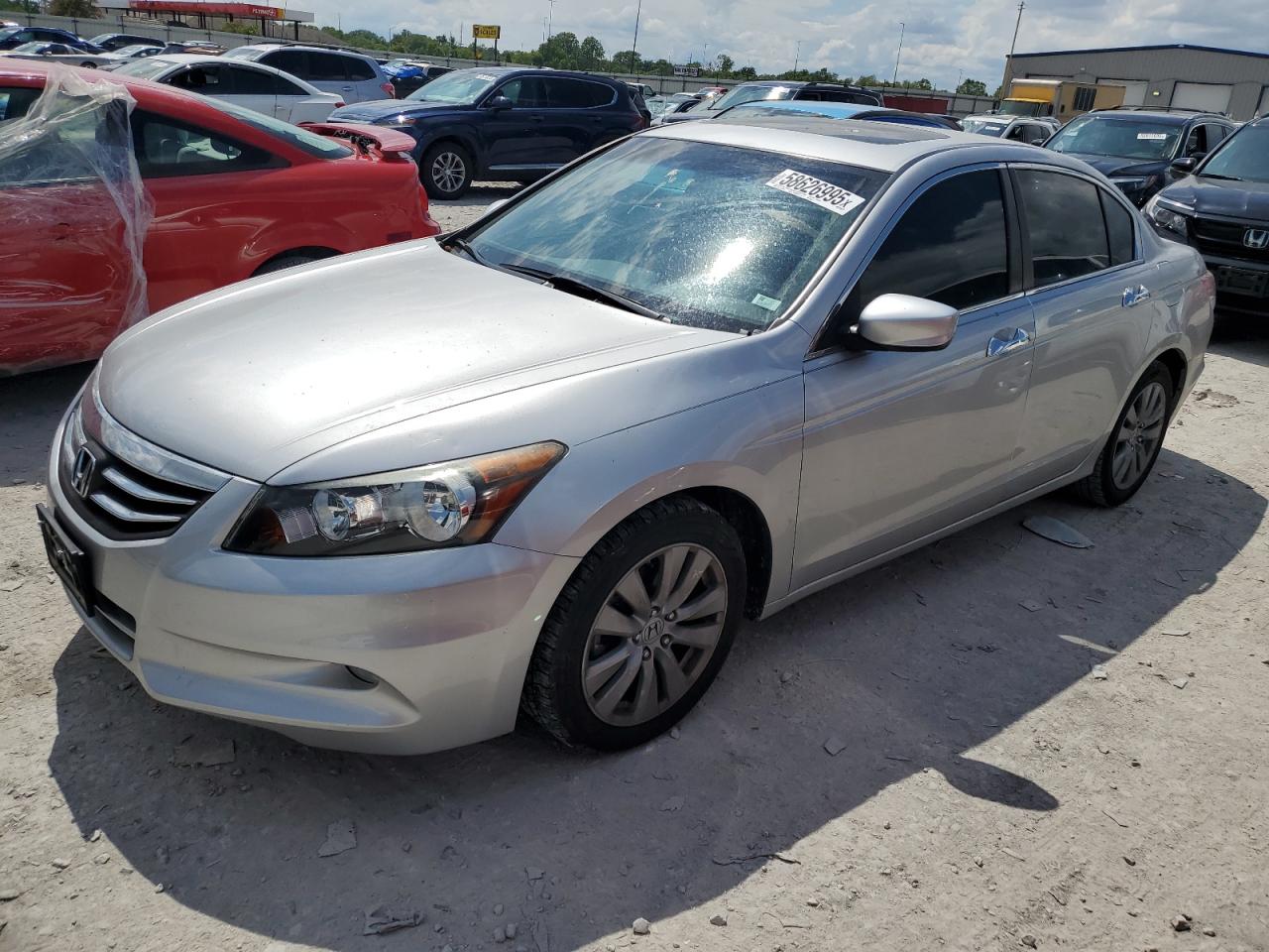 2011 Honda Accord Exl en Venta en Cahokia Heights, IL - Front End