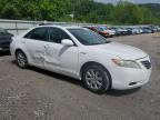 2009 Toyota Camry Hybrid zu verkaufen in Hurricane, WV - Side