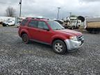 2011 Ford Escape Xlt zu verkaufen in Ebensburg, PA - Side