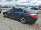 2014 Honda Accord Exl for Sale in Eugene, OR - Front End