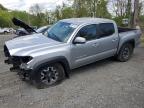 2023 TOYOTA TACOMA DOUBLE CAB à vendre chez Copart NY - NEWBURGH