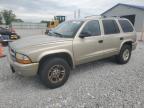 2003 Dodge Durango Slt للبيع في Barberton، OH - Minor Dent/Scratches