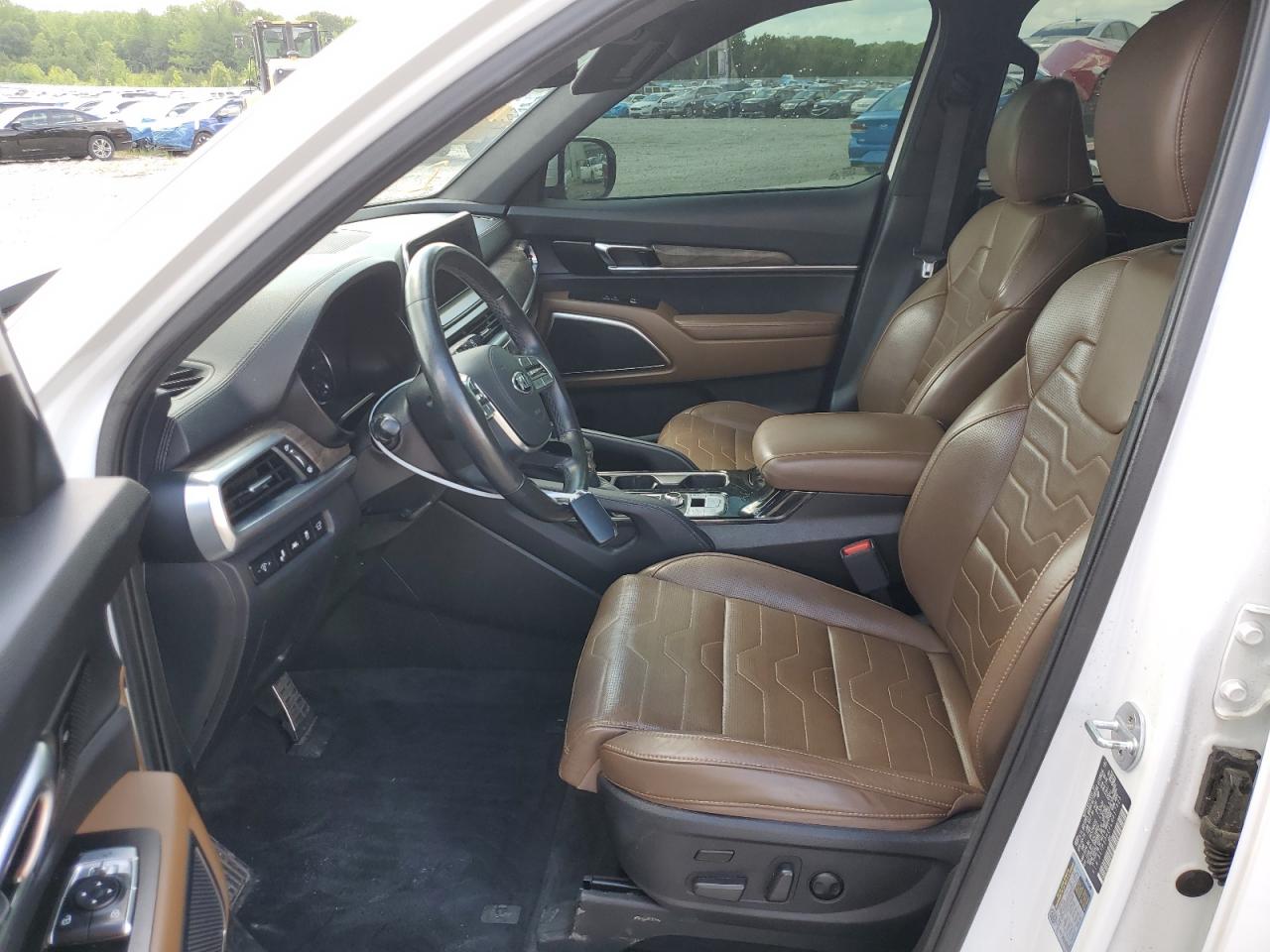 2020 Kia Telluride Sx VIN: 5XYP5DHC0LG017305 Lot: 56559375