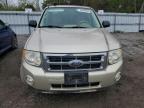 2010 Ford Escape Xlt იყიდება London-ში, ON - Side