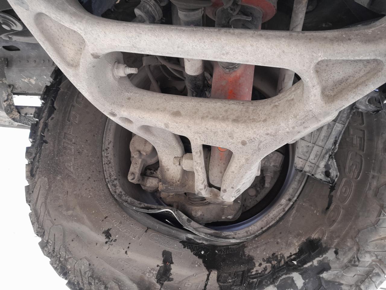 1FTFW1RG0NFB40214 - 2020 Ford F150 RAPTO - #58674315