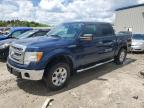 Franklin, WI에서 판매 중인 2013 Ford F150 Supercrew - Hail