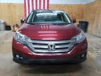 2012 Honda Cr-V Ex en Venta en Kincheloe, MI - Minor Dent/Scratches