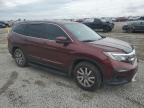 2019 Honda Pilot Exl იყიდება Earlington-ში, KY - Hail