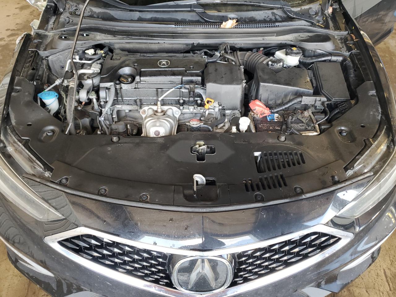 2019 Acura Ilx VIN: 19UDE2F37KA008871 Lot: 55383835