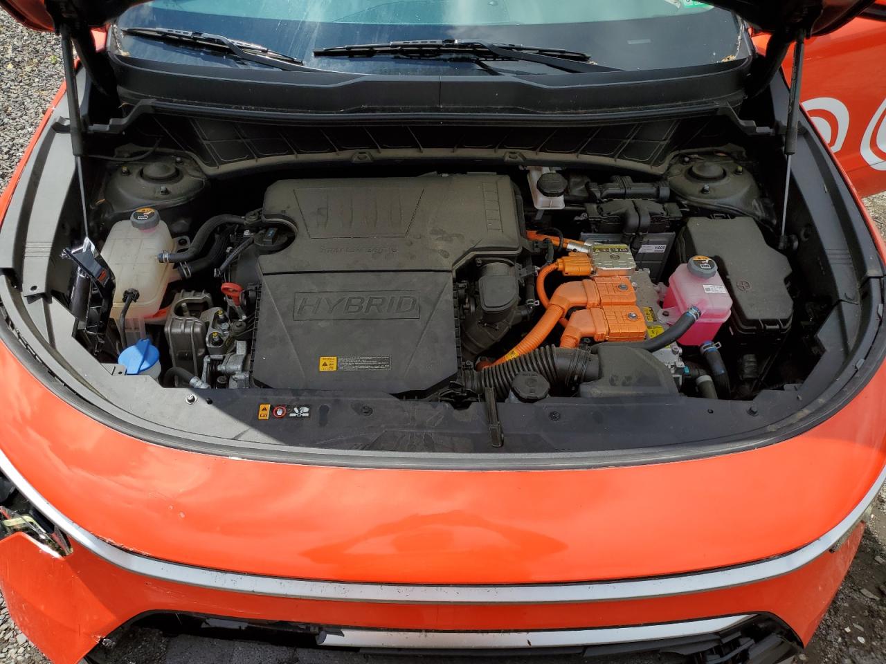 2024 Kia Niro Ex VIN: KNDCR3LE7R5149954 Lot: 57334185