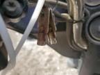 2006 Harley-Davidson Flhtpi  იყიდება Houston-ში, TX - Mechanical