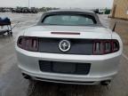 2013 Ford Mustang  for Sale in Moraine, OH - Front End
