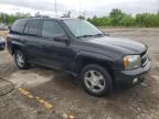 2008 Chevrolet Trailblazer Ls for Sale in Woodhaven, MI - Side