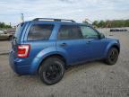 2009 Ford Escape Xlt на продаже в Hillsborough, NJ - Minor Dent/Scratches