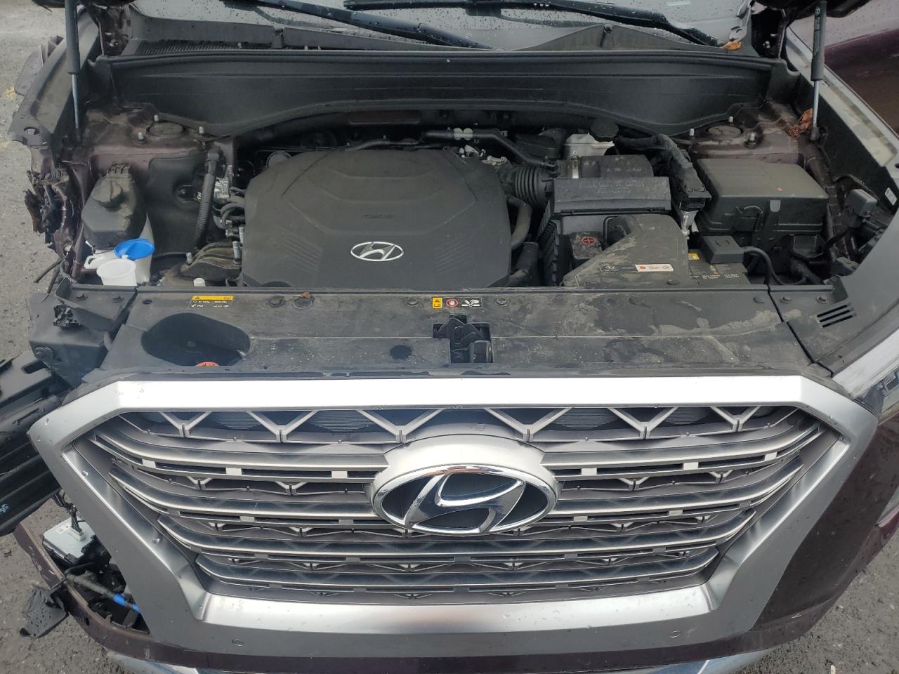 2020 Hyundai Palisade Limited VIN: KM8R5DHE5LU046500 Lot: 56793675