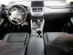 2020 Lexus Nx 300 for Sale in Charles City, VA - Front End