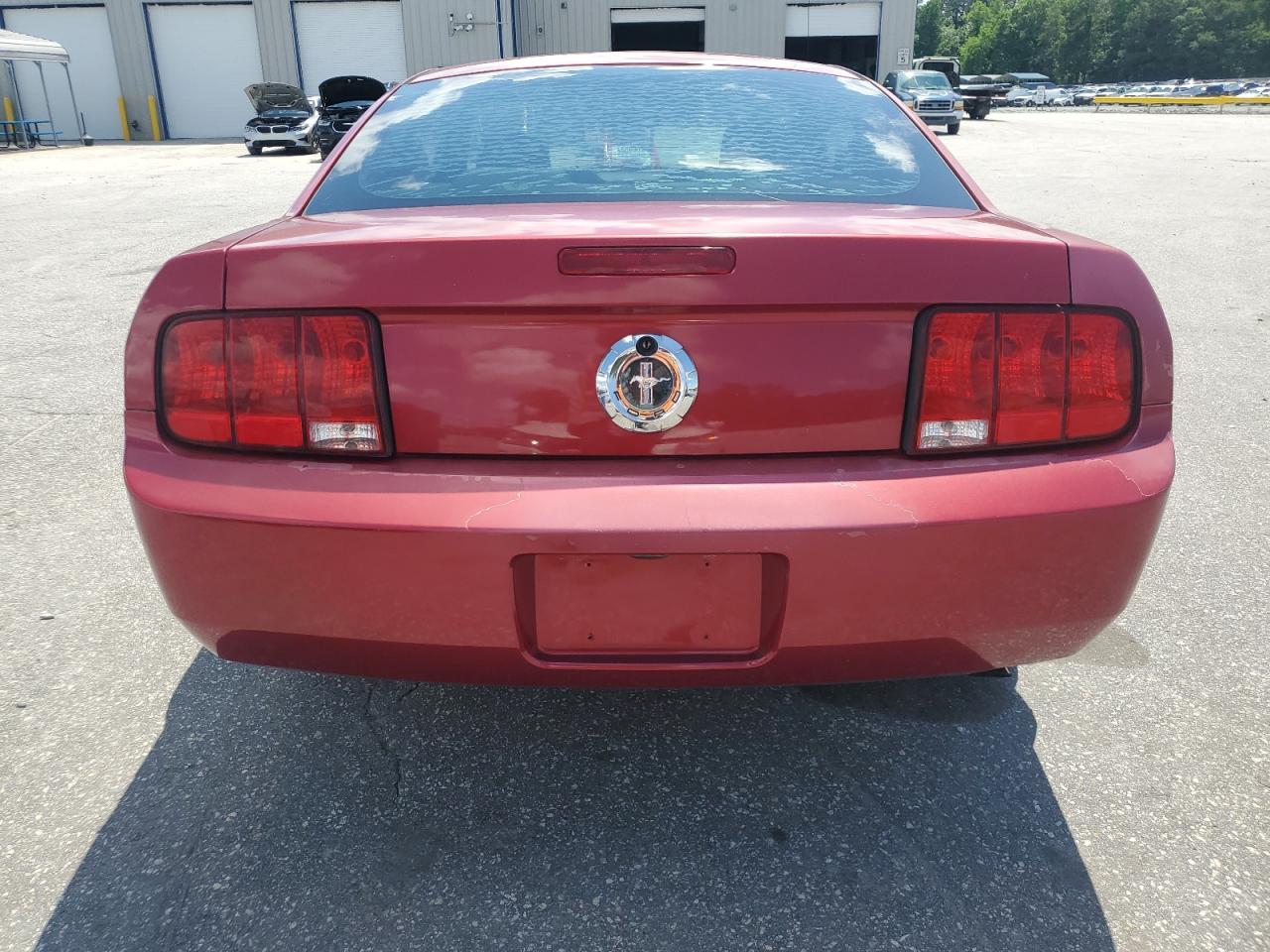 2006 Ford Mustang VIN: 1ZVFT80N565265291 Lot: 56913655