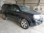 2011 Honda Pilot Exl продається в Abilene, TX - Hail