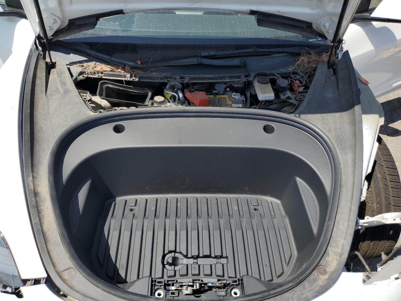 2021 Tesla Model 3 VIN: 5YJ3E1EA5MF096205 Lot: 56989825