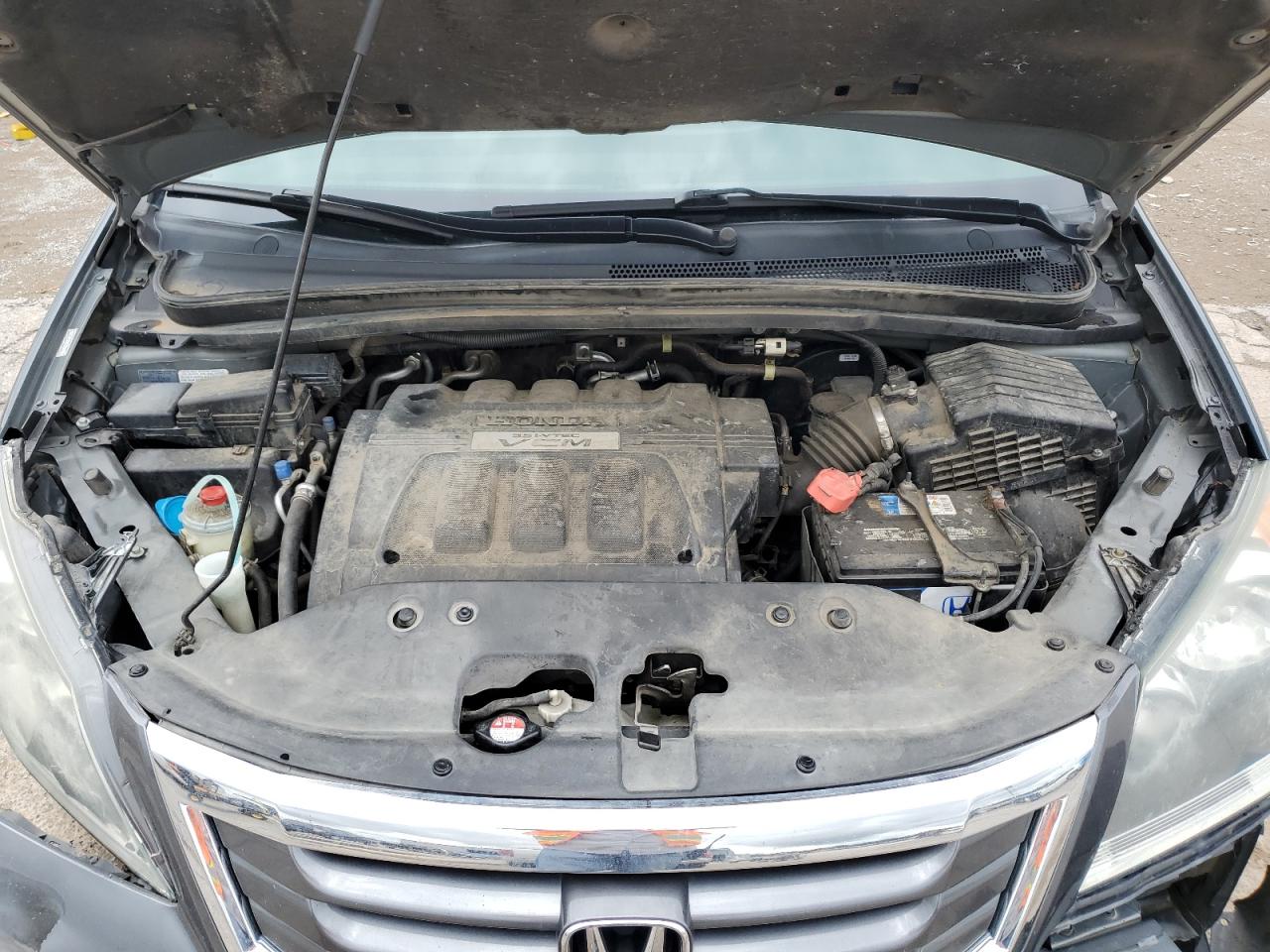 2010 Honda Odyssey Exl VIN: 5FNRL3H66AB049375 Lot: 64930475