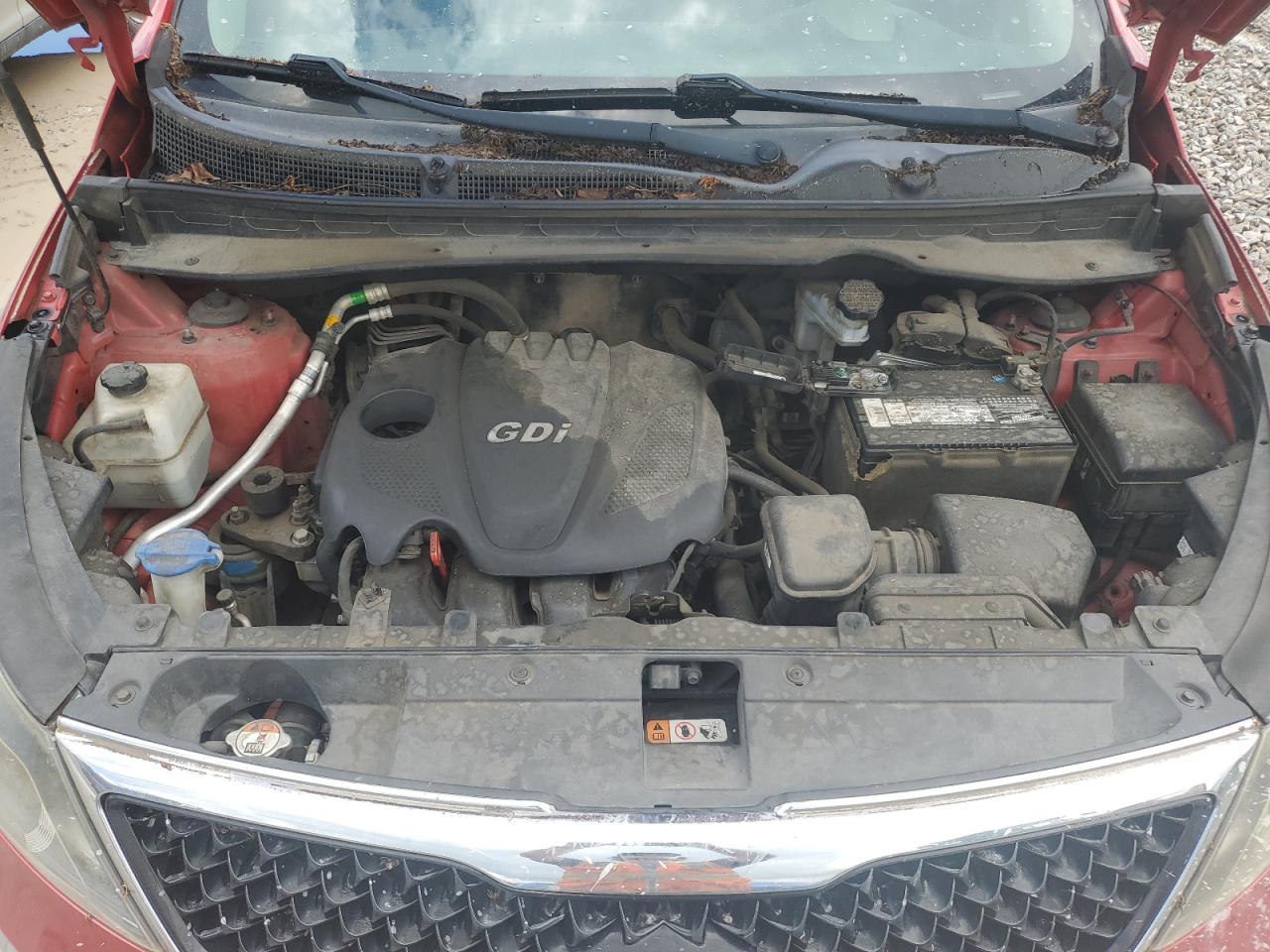 2014 Kia Sportage Base VIN: KNDPB3AC6E7562650 Lot: 55815075