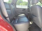 2002 Ford Escape Xlt for Sale in Prairie Grove, AR - Rear End