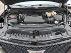2023 Cadillac Escalade Esv Sport Platinum for Sale in Central Square, NY - Rear End