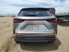 2023 Lexus Nx 350H   for Sale in Brighton, CO - Hail