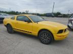 2005 Ford Mustang  for Sale in Indianapolis, IN - Vandalism
