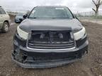 2014 Toyota Highlander Xle zu verkaufen in Cicero, IN - All Over