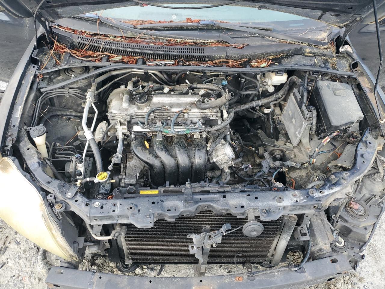 2009 Toyota Corolla Base VIN: 1NXBU40E29Z038721 Lot: 55910495