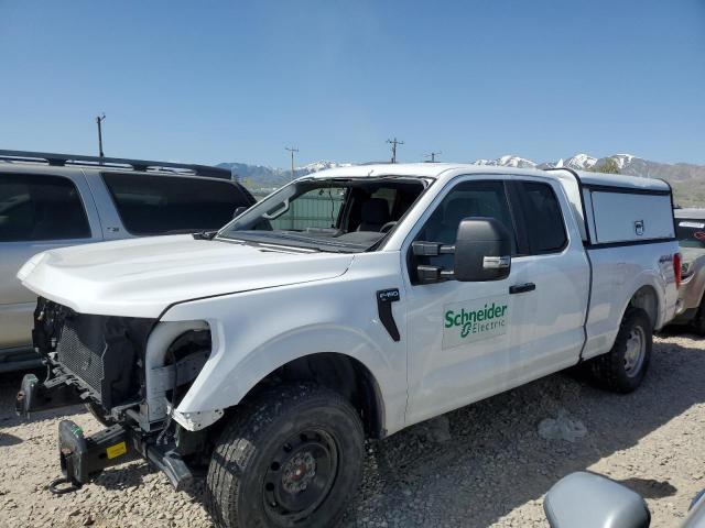  FORD F-150 2021 Белый