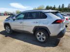 2023 TOYOTA RAV4 XLE   à vendre chez Copart ON - TORONTO