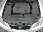 2006 Lexus Is 250 zu verkaufen in Albany, NY - Front End
