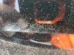 2011 Honda Accord Exl en Venta en New Britain, CT - Biohazard/Chemical