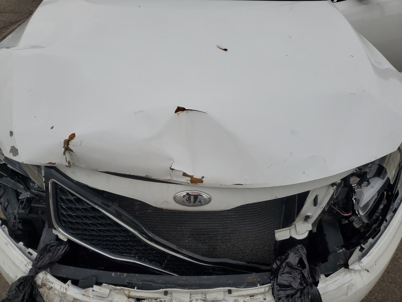 2014 Kia Optima Ex VIN: 5XXGN4A73EG271854 Lot: 56889295