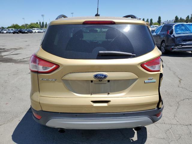  FORD ESCAPE 2014 Złoty