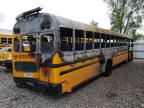 2022 Blue Bird School Bus / Transit Bus  na sprzedaż w Avon, MN - Burn