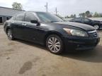 2011 Honda Accord Exl en Venta en New Britain, CT - Biohazard/Chemical