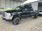 2001 Ford F250 Super Duty продається в Rogersville, MO - Hail