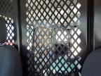 2024 Ford Transit T-250 for Sale in Cahokia Heights, IL - Front End