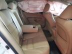 2011 Honda Accord Se للبيع في Apopka، FL - Side