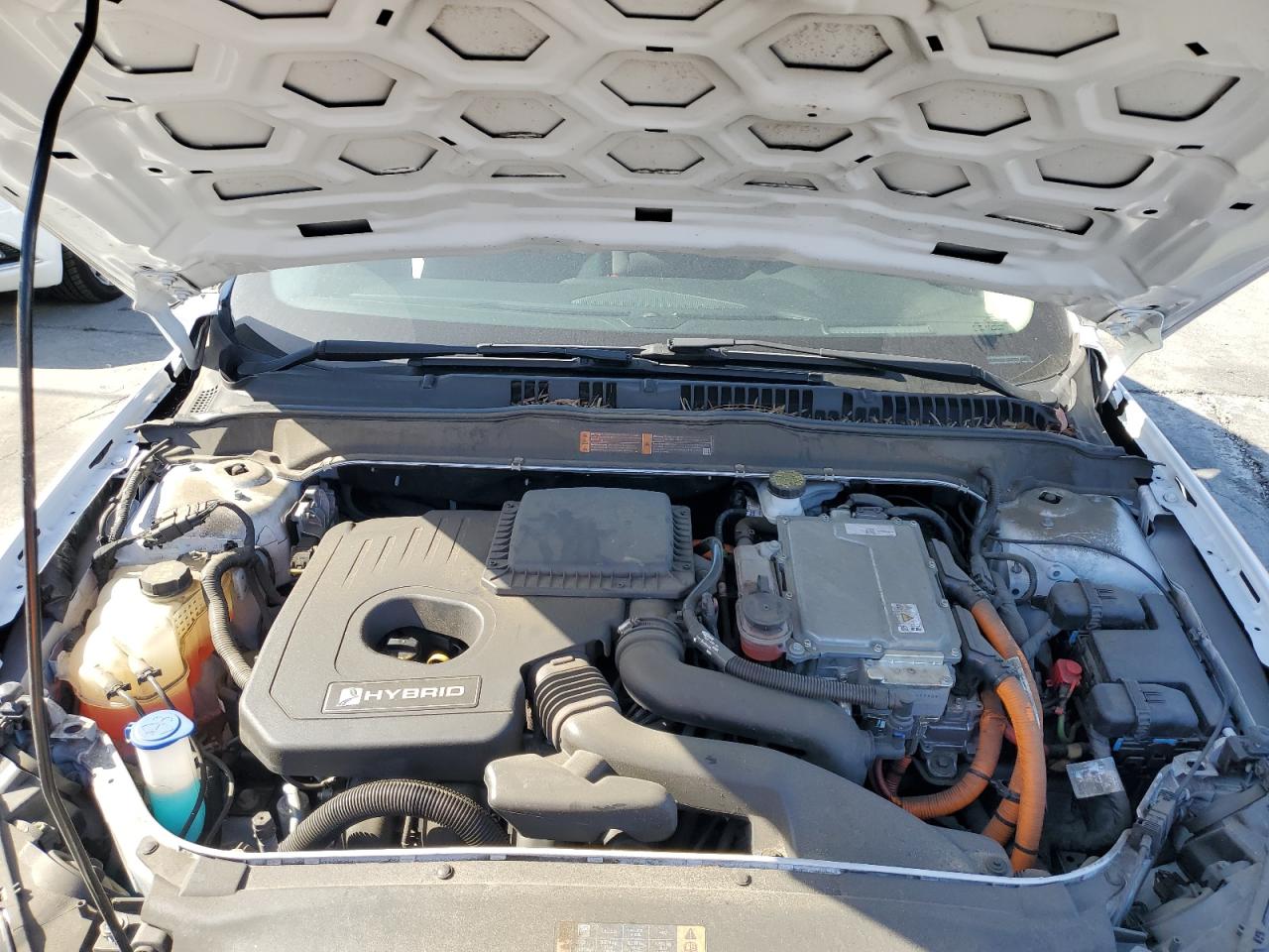 2019 Ford Fusion Se VIN: 3FA6P0LU7KR264006 Lot: 54025585